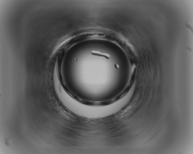 X0000097851352200803141208