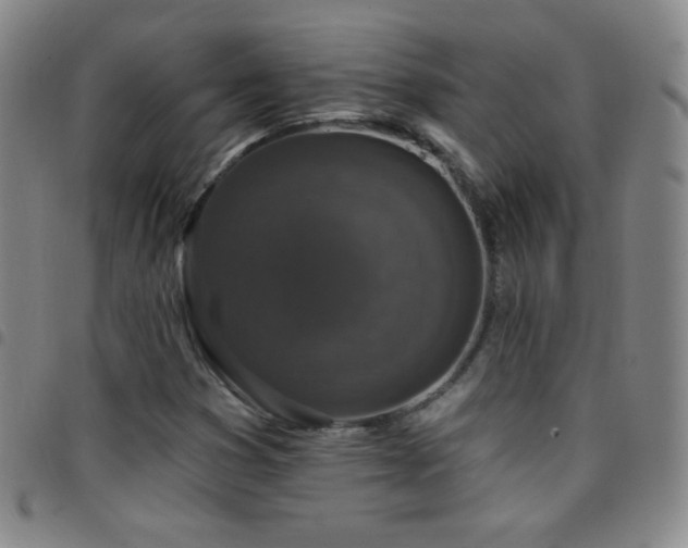 X0000097851353200803141208