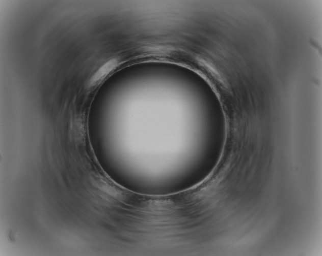 X0000097851354200803141208