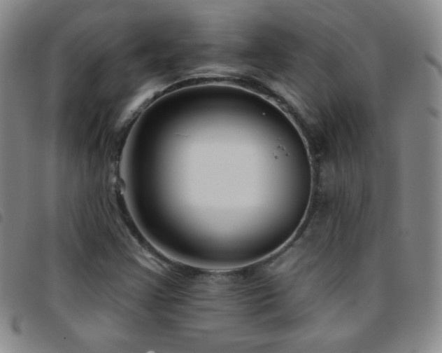X0000097851355200803141208