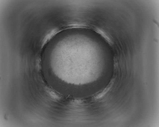 X0000097851357200803141208