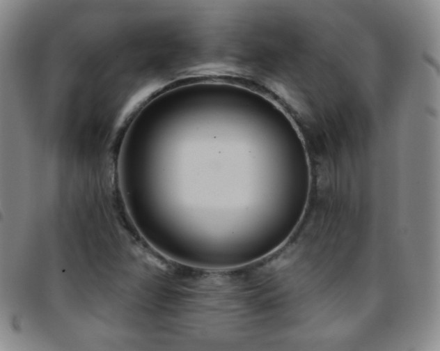 X0000097851358200803141208