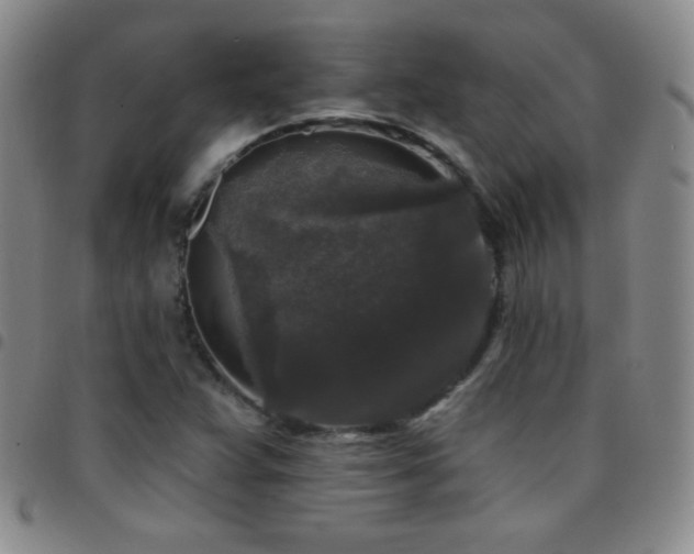 X0000097851359200803141208