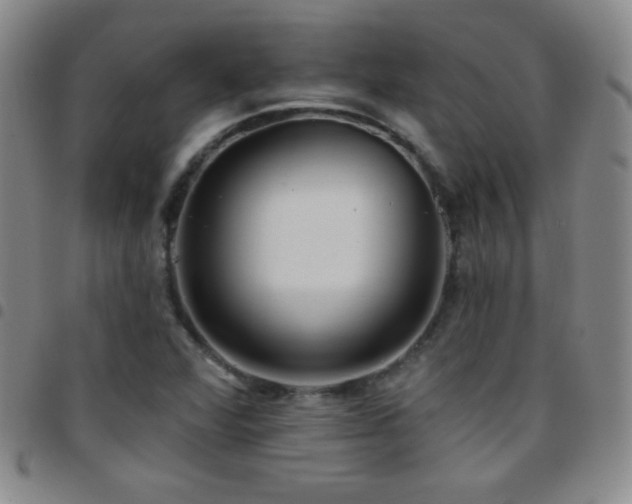 X0000097851360200803141208
