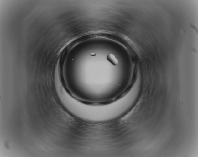 X0000097851361200803141208