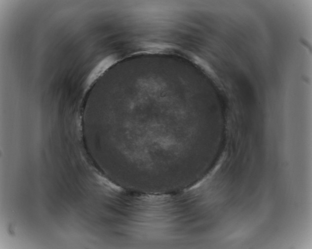 X0000097851362200803141208
