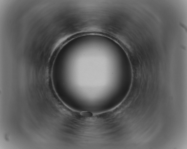 X0000097851364200803141208