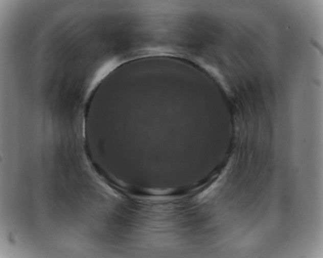 X0000097851365200803141208