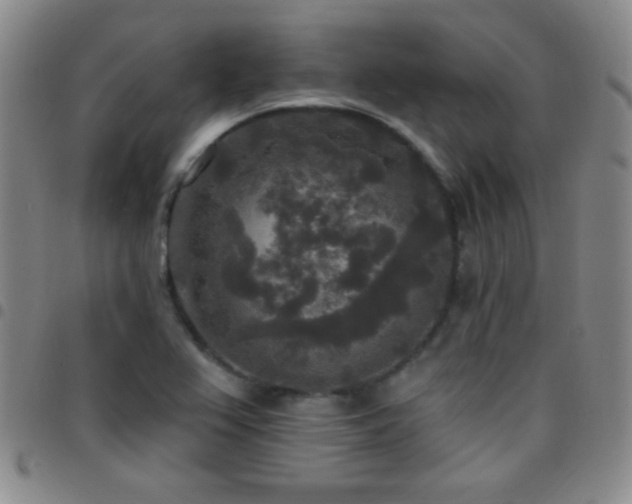X0000097851367200803141208