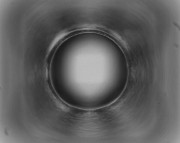 X0000097851368200803141208