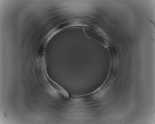 X0000097851369200803141208