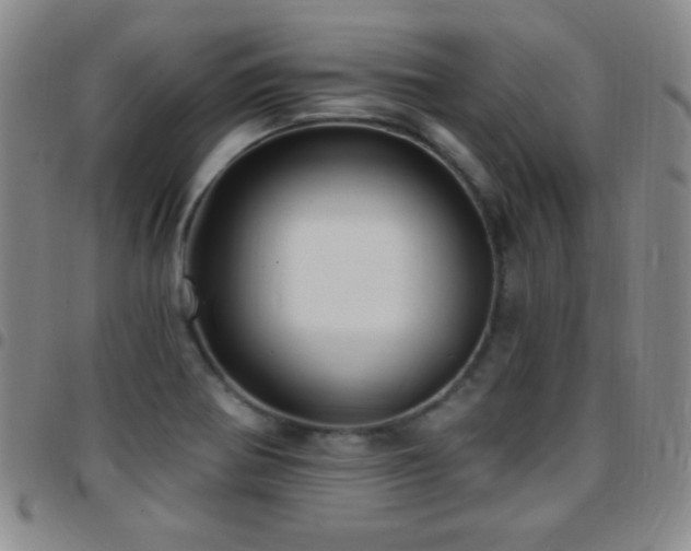 X0000097851370200803141208
