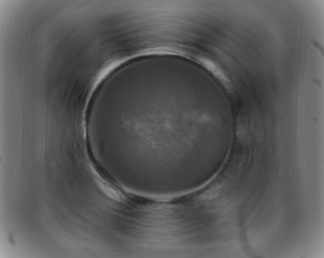 X0000097851372200803141208