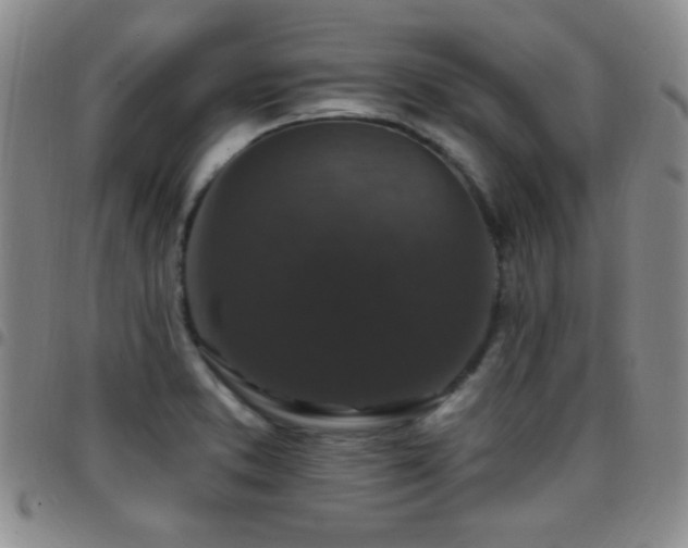 X0000097851373200803141208
