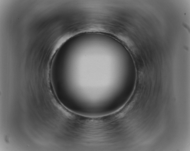 X0000097851374200803141208