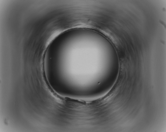 X0000097851375200803141208