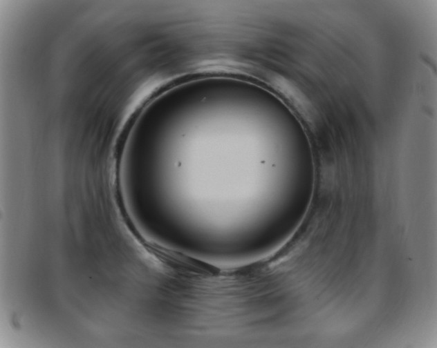 X0000097851376200803141208