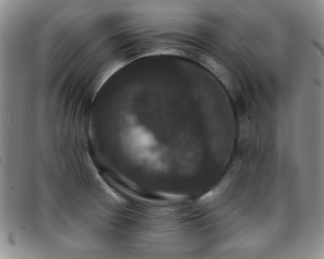 X0000097851377200803141208