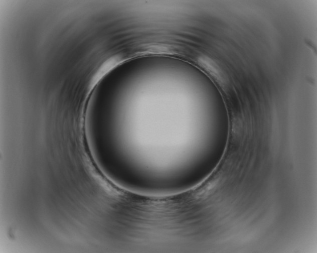 X0000097851378200803141208