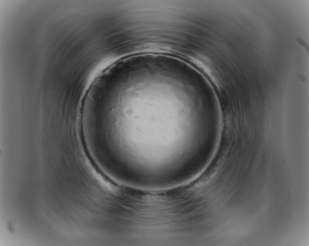 X0000097851379200803141208