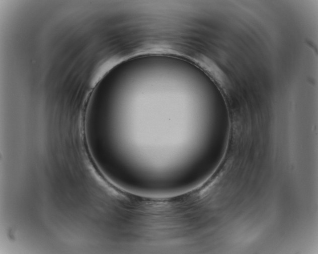 X0000097851382200803141208