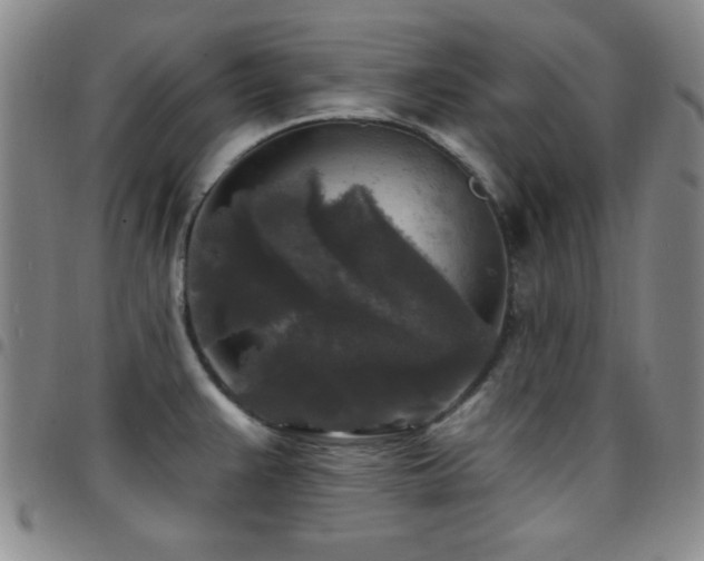 X0000097851383200803141208