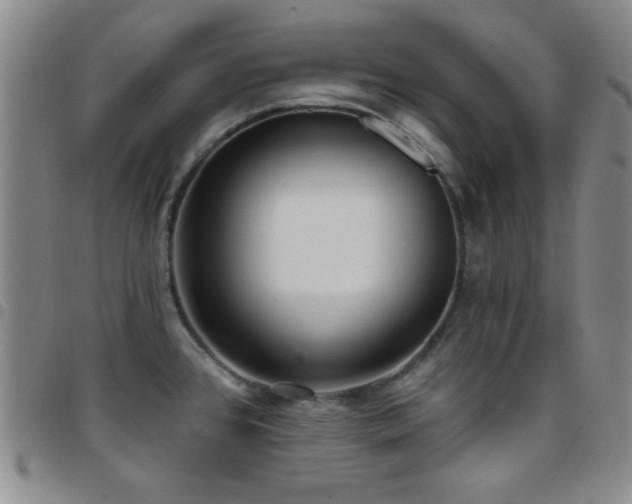 X0000097851384200803141208
