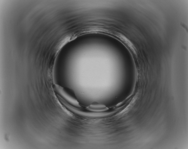 X0000097851385200803141208