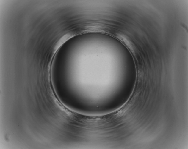 X0000097851386200803141208
