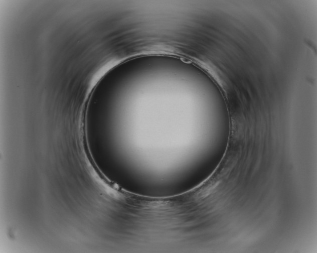 X0000097851387200803141208