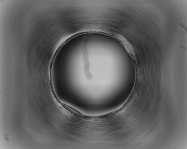 X0000097851388200803141208