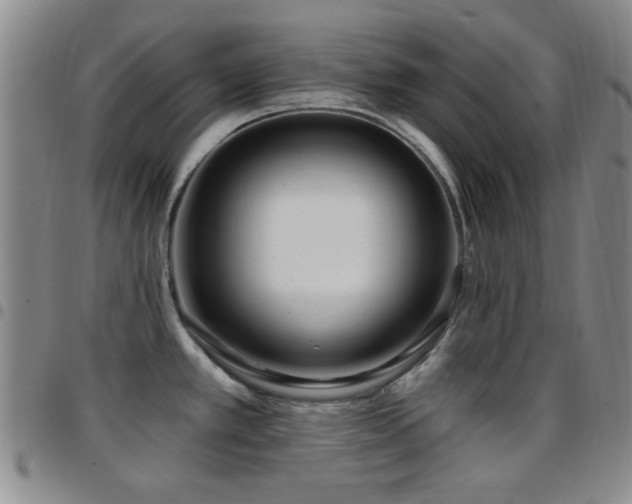 X0000097851389200803141208