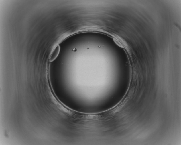 X0000097851390200803141208
