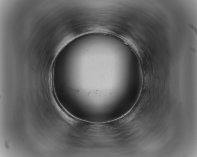 X0000097851391200803141208