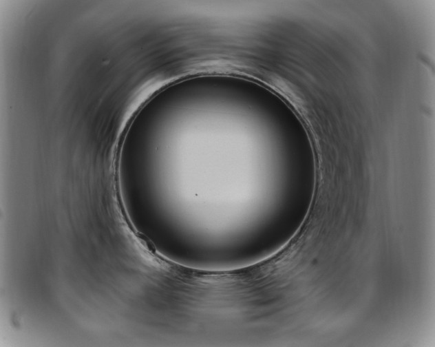 X0000097851392200803141208