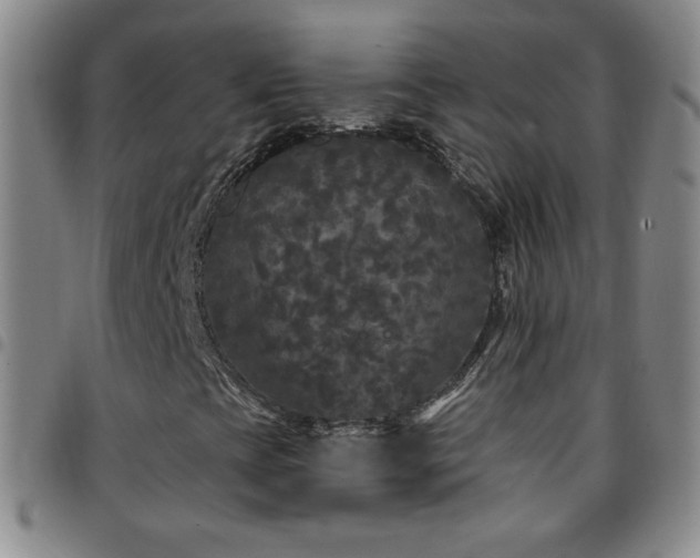 X0000097851393200803141207