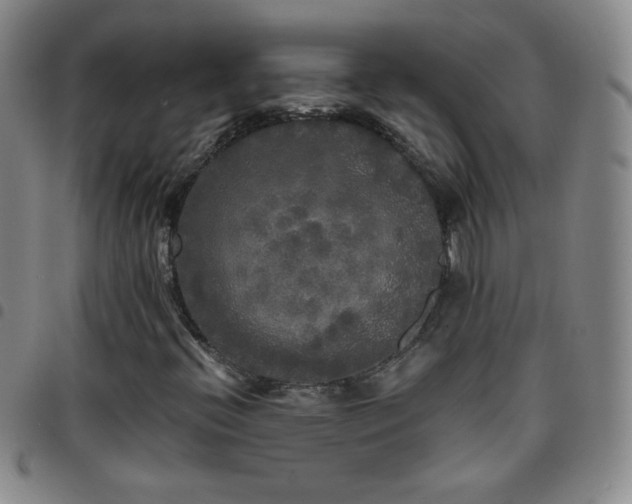 X0000097851396200803141207