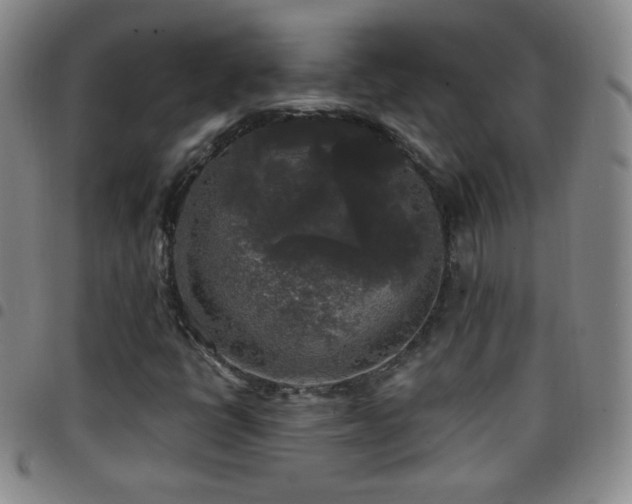 X0000097851398200803141207