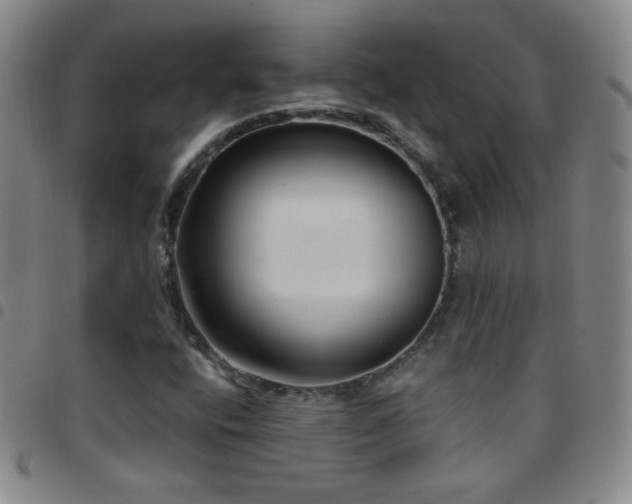 X0000097851400200803141207
