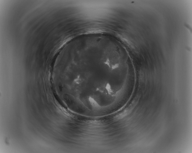 X0000097851401200803141207