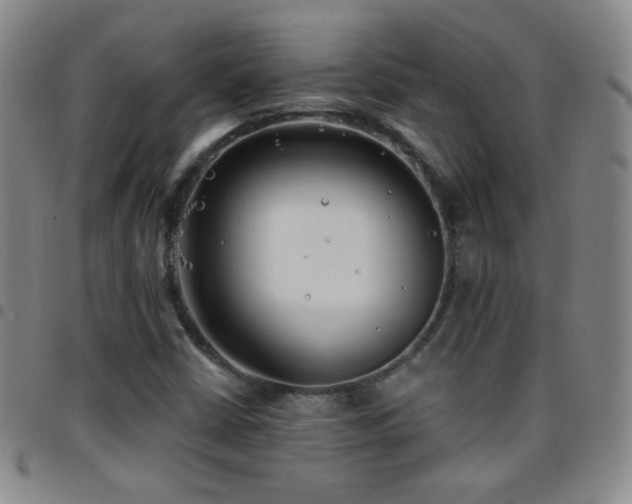 X0000097851402200803141207