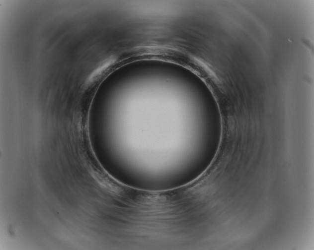 X0000097851403200803141207