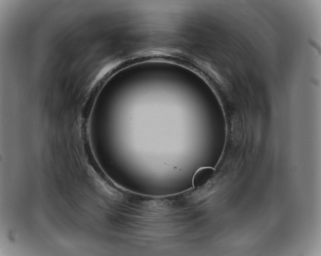 X0000097851404200803141207