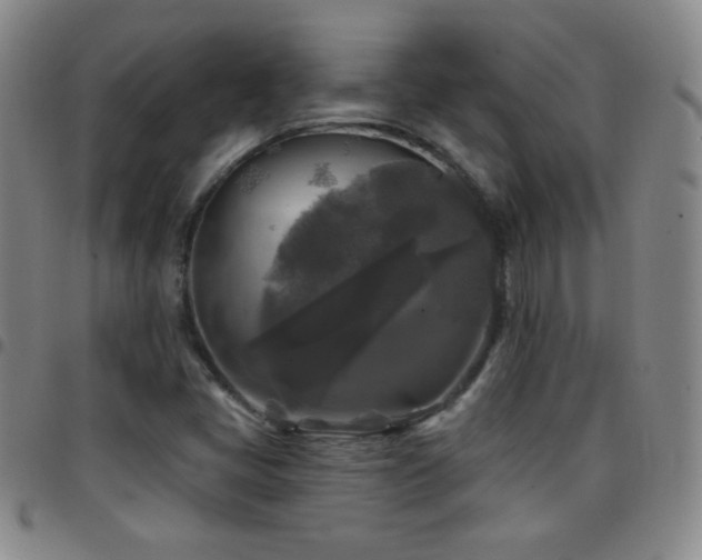 X0000097851405200803141207