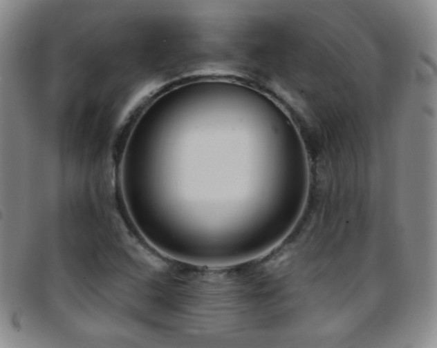 X0000097851408200803141207