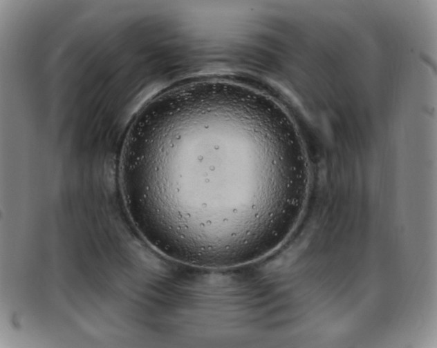 X0000097851409200803141207
