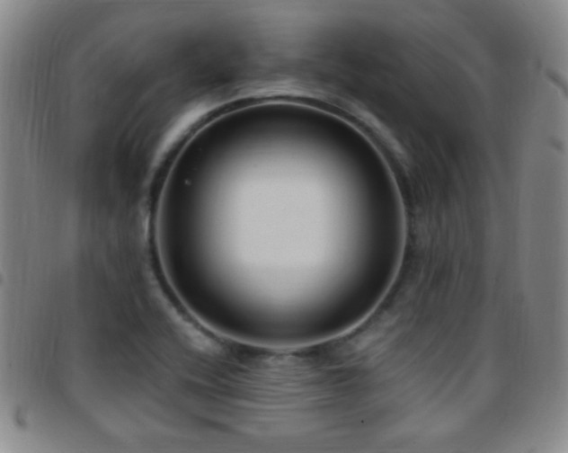 X0000097851416200803141207