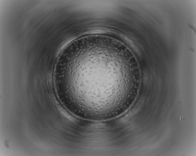 X0000097851417200803141207