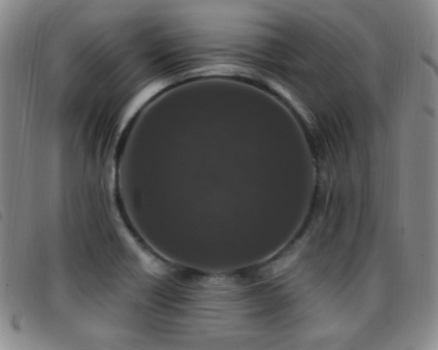 X0000097851418200803141207