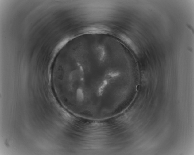 X0000097851419200803141207